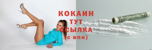 метадон Тавда
