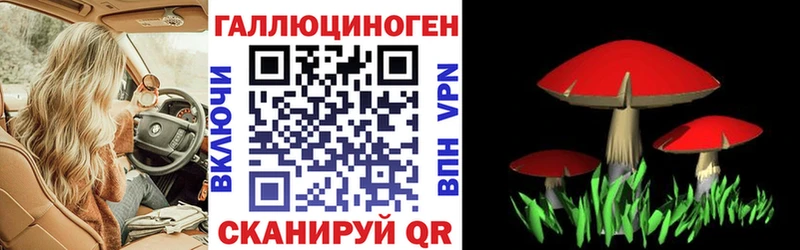 Псилоцибиновые грибы ЛСД  даркнет сайт  Светлый 